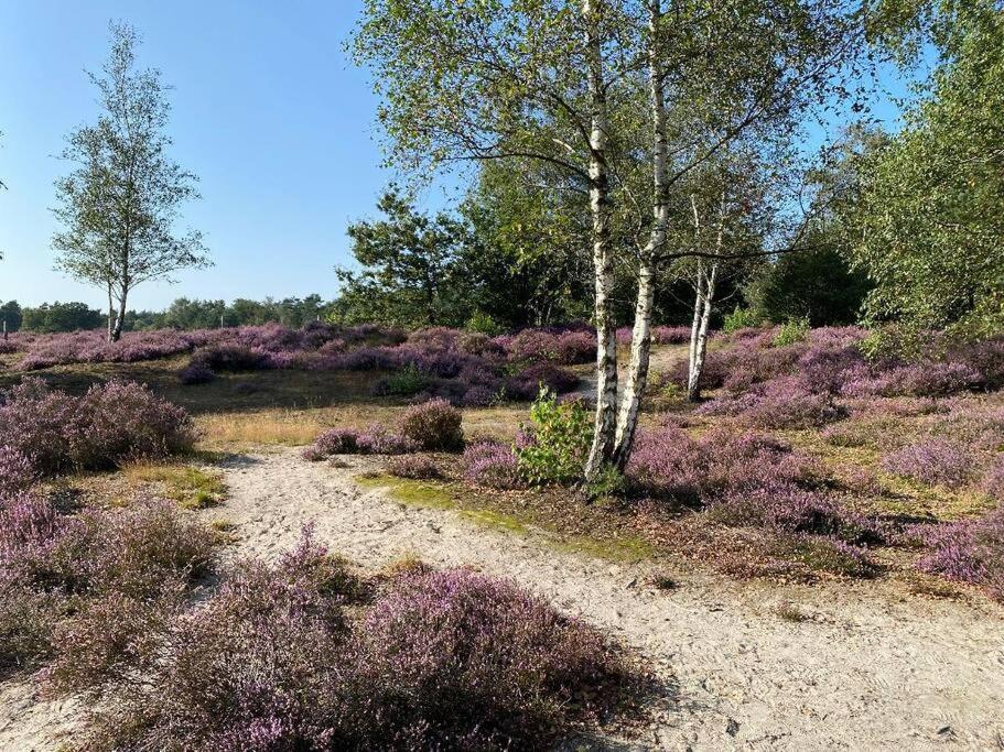 Duinhoek: Luxe Studio, Prachtig En Rustig Gelegen Zeist Extérieur photo