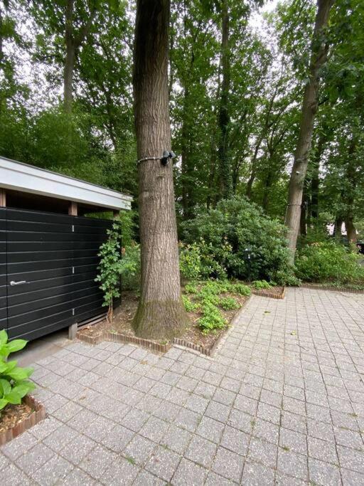 Duinhoek: Luxe Studio, Prachtig En Rustig Gelegen Zeist Extérieur photo